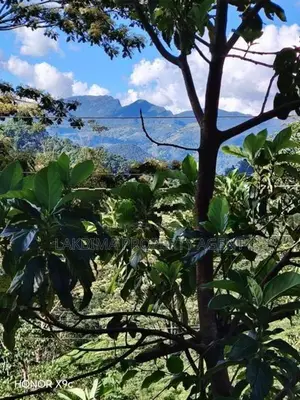 Land for Sale in Kandy Thannakumbura