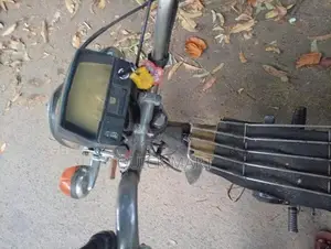 Singer Safari 2020