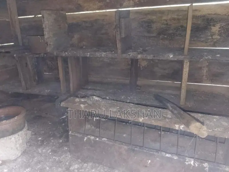 Pigeon Cage