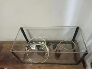 Fish Tank
