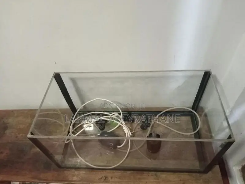 Fish Tank