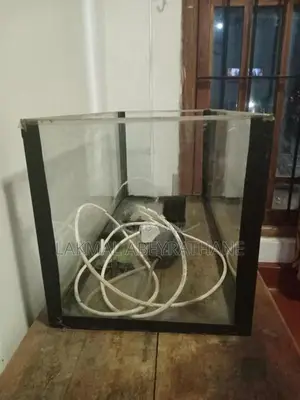 Fish Tank