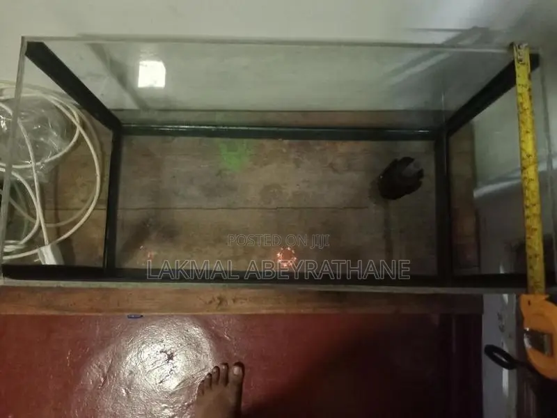 Fish Tank