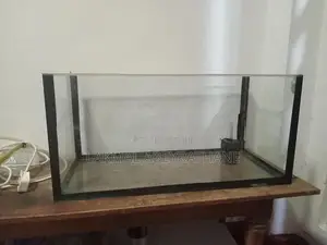 Fish Tank