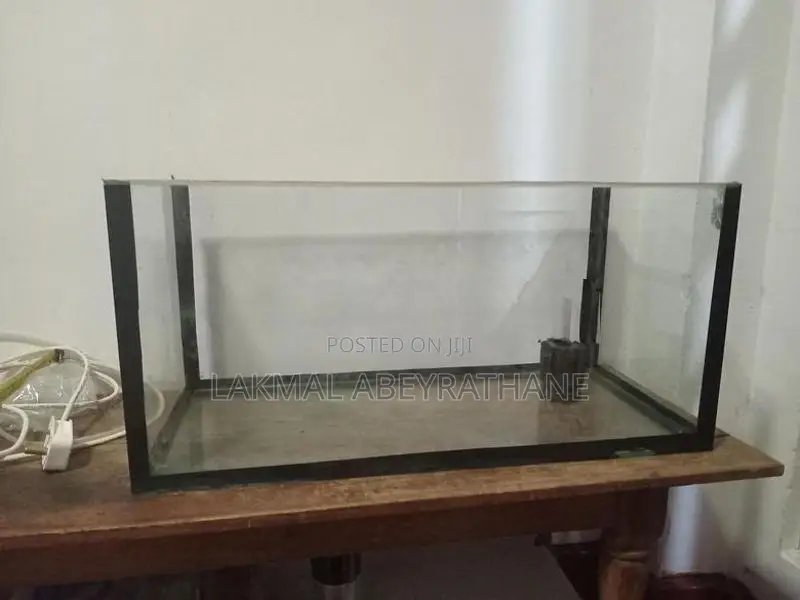 Fish Tank