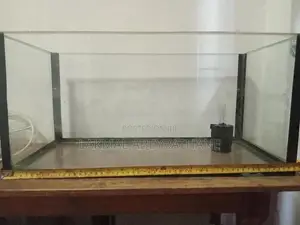 Fish Tank