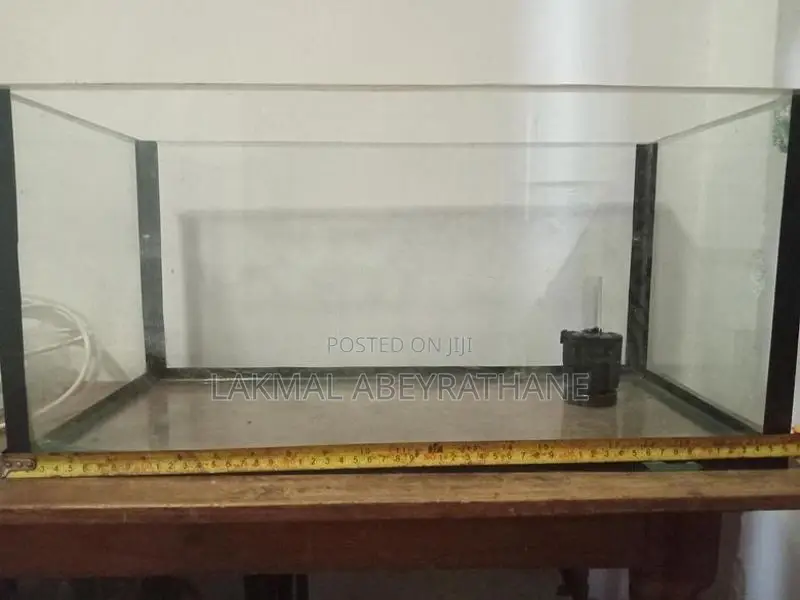 Fish Tank
