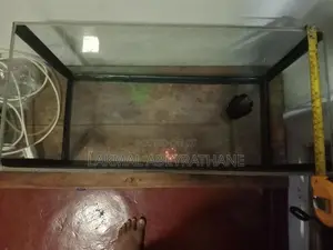 Fish Tank