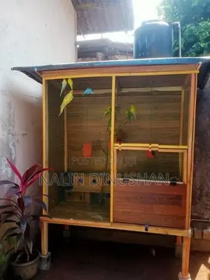 Bird Cage