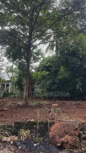 Land for Sale in Polgasowita