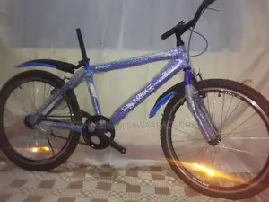 DSI Mountain Bicycle