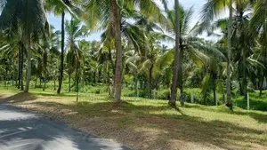 Land for Sale in Kadawatha Waboda