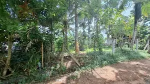 Land for Sale at Dream Village, Millewa
