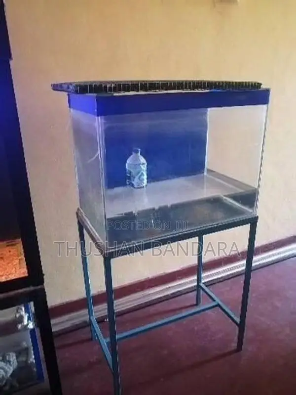 Used Fish Tanks