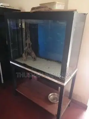 Used Fish Tanks