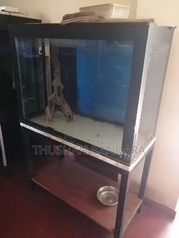 Used Fish Tanks