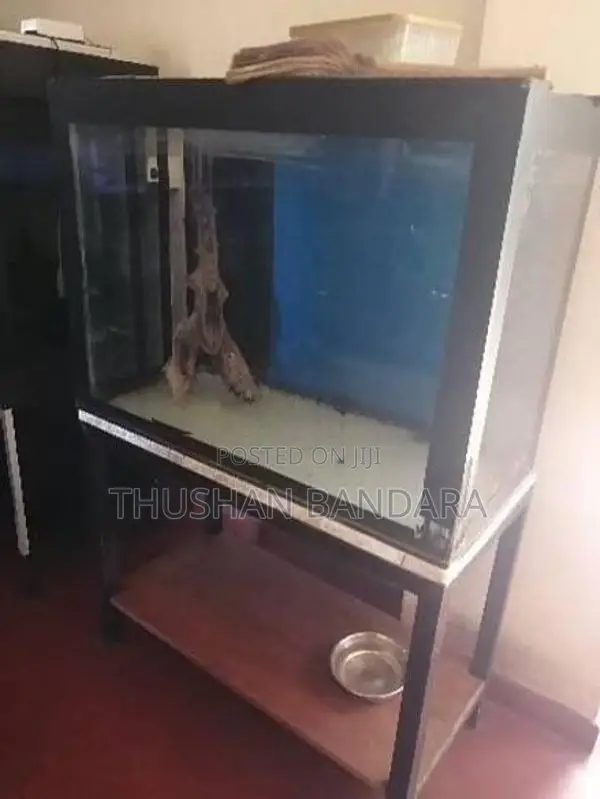 Used Fish Tanks