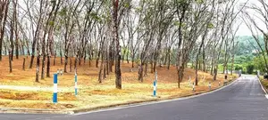 Meegoda Beruketiya Land For Sale