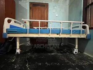 Head Side Adjustable Patient Bed with Mattress