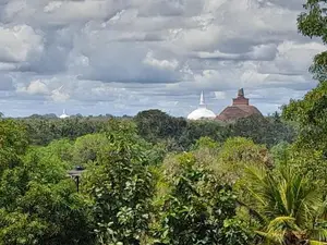 නිදහස් පදිංචියකට හොදම තැනක් සින්නක්කර ඔප්පු