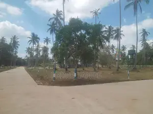 වාරියපොල නගරයට නුදුරින් සින්නක්කර බිම්කොටසක් විකිණීමට