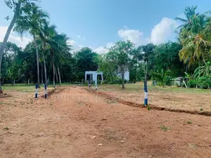 පදිංචියට , අගනා බිම් කොටස් සින්නක්කර ඔප්පු අනුරාධපුර