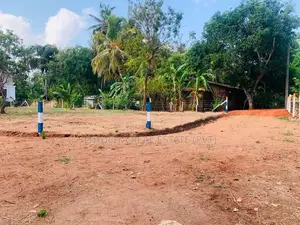 Land For Sale අනුරාධපුර -සාලියපුර