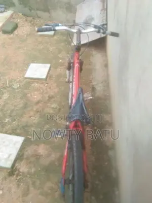 Mountain Bicycle