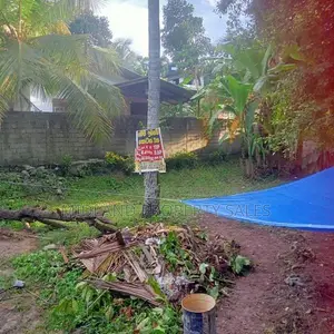 පර්චස් 13.6 ක ඉඩමක් කොස්පැලෑනෙන්