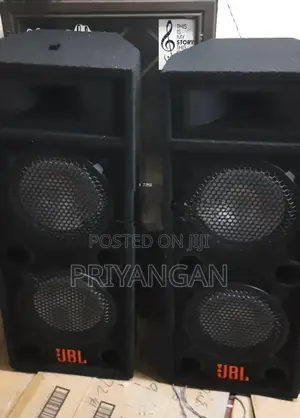 10" Double Top Speaker