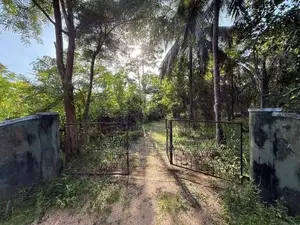Land for Sale in Mahawa