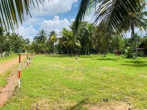 සුන්දර වටපිටාවකින් නේවාසික බිම් කොටස් පොතුහැර