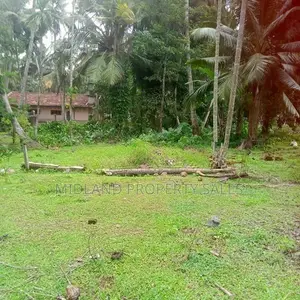 පර්චස් 6.5 ක ඉඩමක් වැලිසරින්