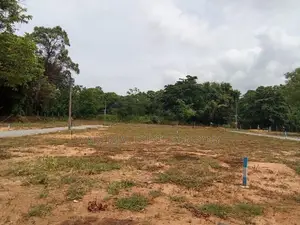 Dambulla Palwehera Land for Sale