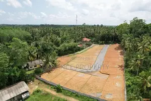 පිටිපනින් ඉඩම්