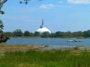 සින්නක්කර ඉඩමක් ඔබේ අතට අනුරාධපුර -සාලියපුර