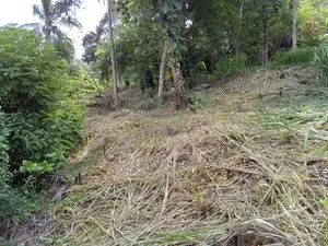 Land for Sale in Tholangamuwa Kegalle