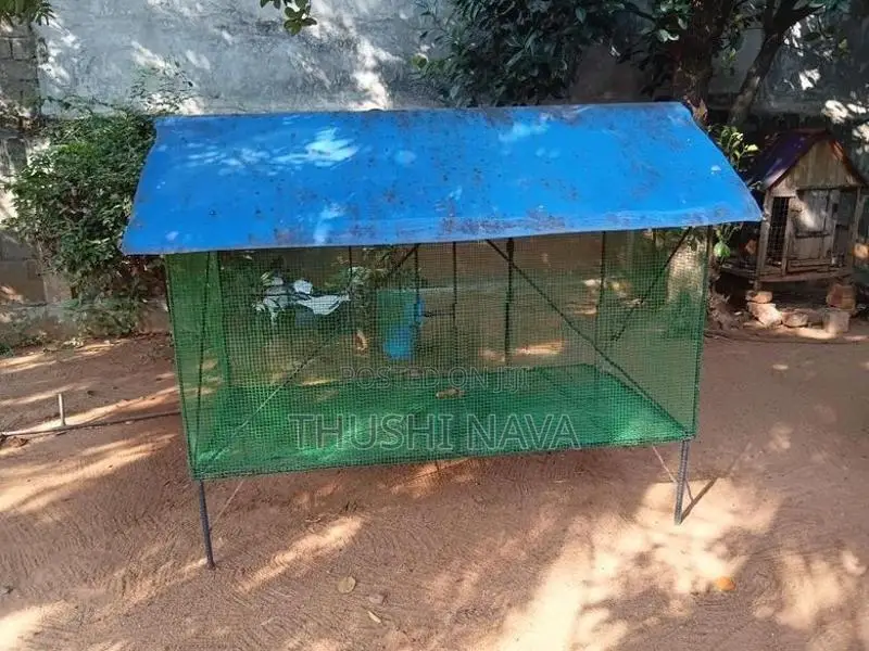 case dog with birds