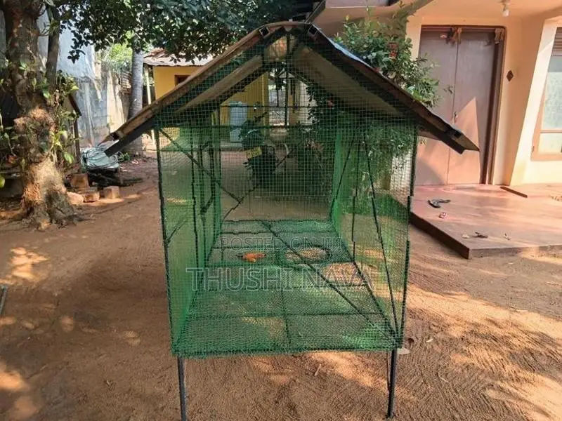 case dog with birds
