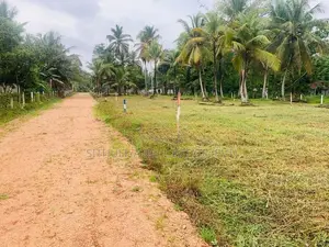 කුරුණෑගල-පොතුහැරින් නේවාසික බිම් කොටස් විකිණිමට