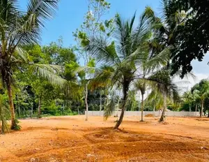 Luxury Land for Sale Midigama