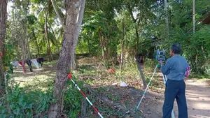 Coconut Land For Sale In Wadduwa