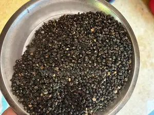 உளுந்து( black gram)