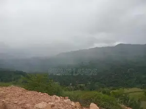 Land for Sale Nillamba