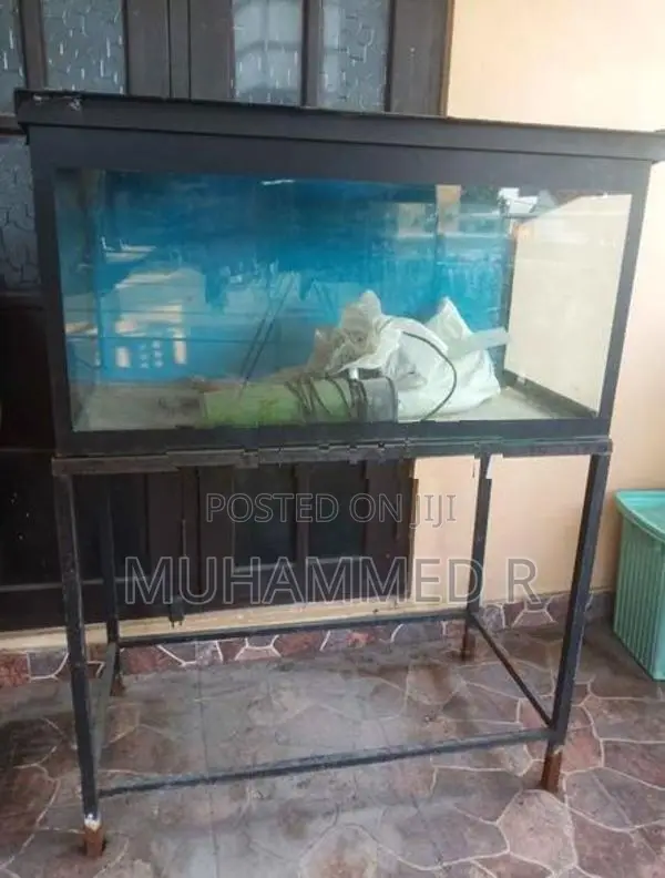 Fish Tank with Stand