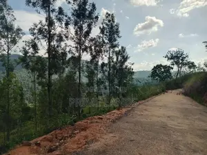 Land for Sale Galaha