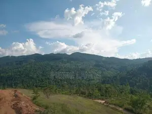 Land for Sale Deltota