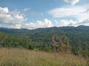 Land for Sale Galaha