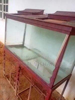 Fish Tank