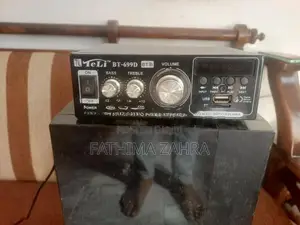 Subwoofer with Amplifier
